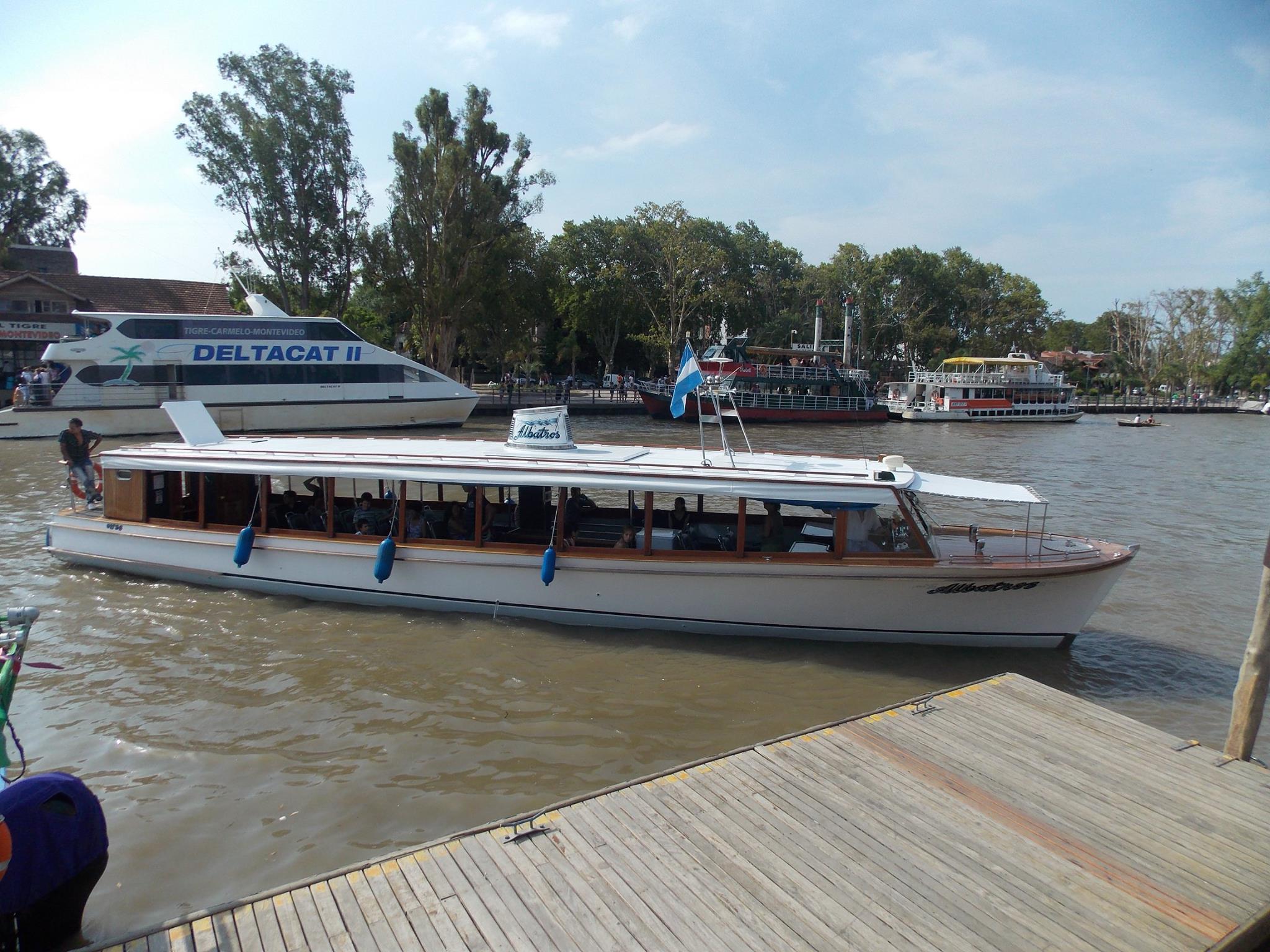Albatros