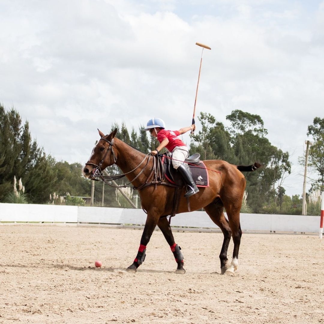 Equestria Salto y Polo