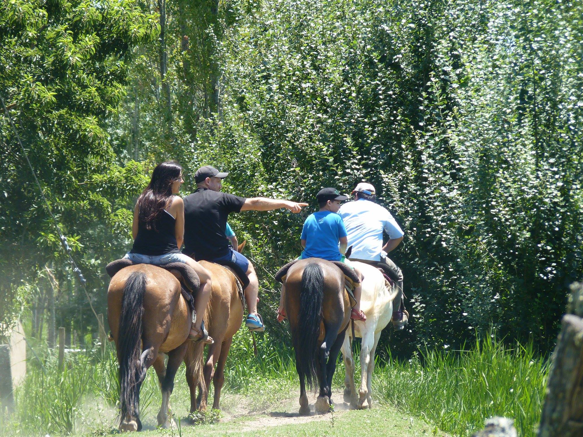 Bonanza Deltaventura
