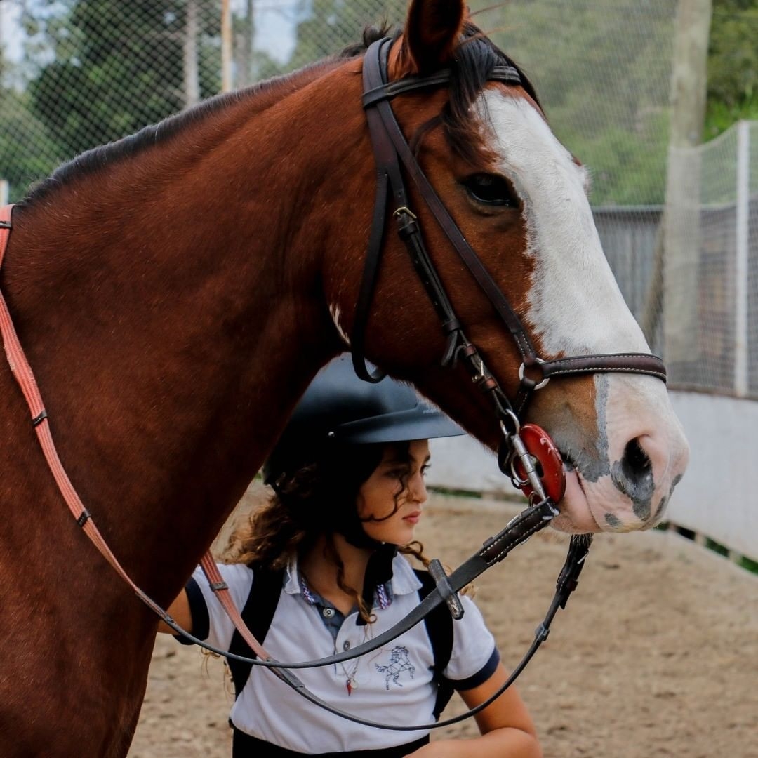Equestria Salto y Polo