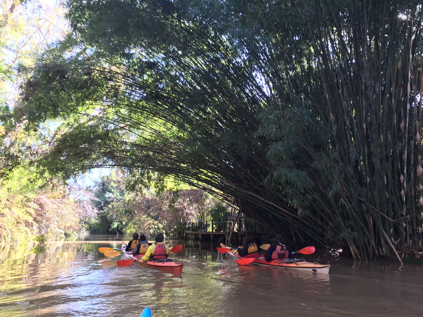Patricio Redman Kayak