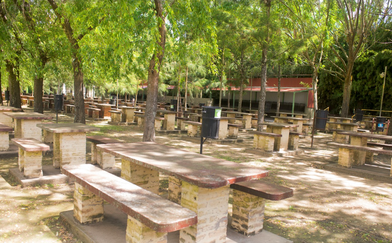 El Alcázar