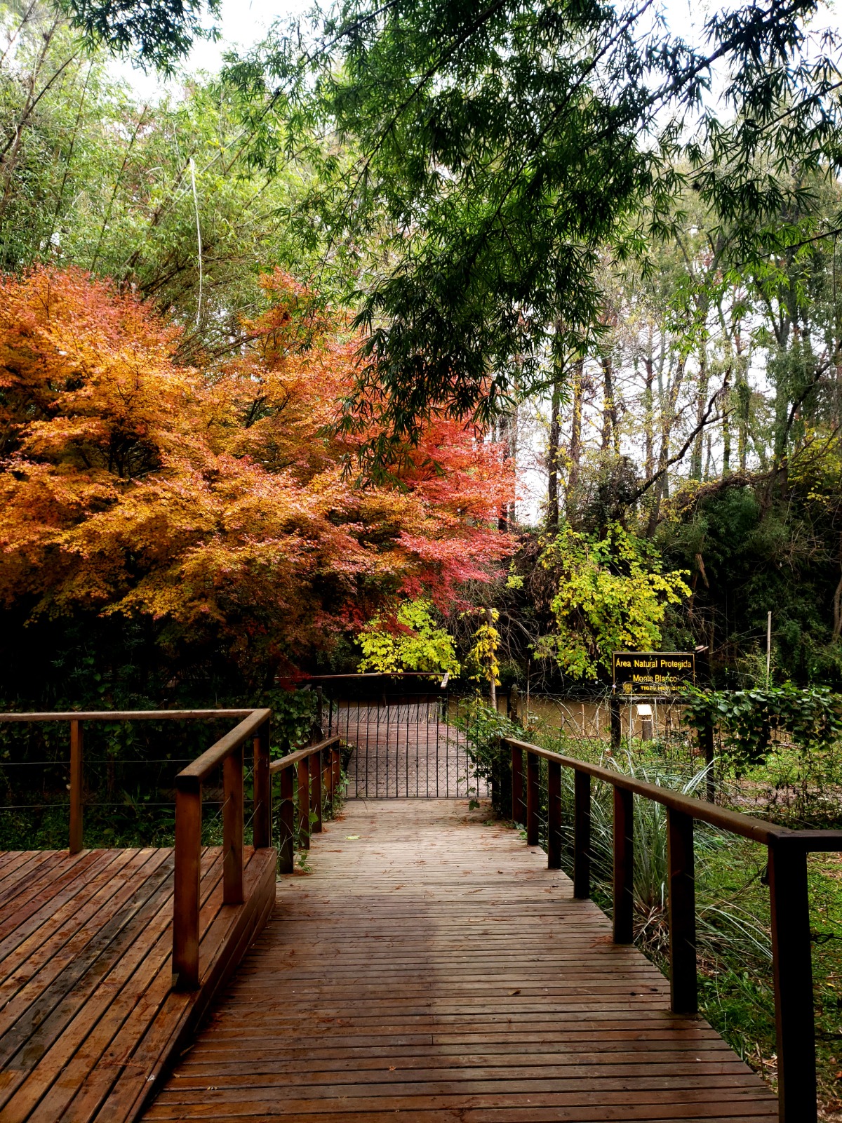 Monte Blanco Municipal Natural Reserve