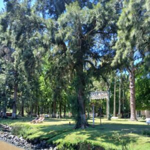 Parque Lyfe